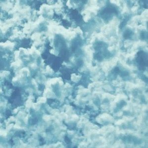 Meet your Posher, Karleigh